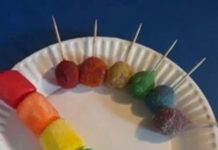 Uma mãe foi criticada por postar uma foto de um lanche que ela fez para o filho.