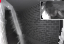 Campainha toca às 2h da manhã e o homem verifica visitante assustador pela câmera