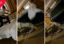 Sofá cama devora mulher enquanto ela tenta trocar os lençóis