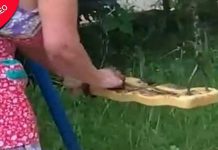 Mulher de 90 anos é flagrada sujando o balanço das crianças em protesto bizarro e nojento
