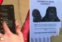 Ex namorado se vinga da ex fazendo concurso de melhor imitação de Chewbacca