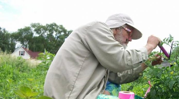 Agricultor revela que agrada suas plantas com um vibrador para melhorar sua colheita
