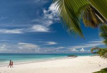Esquema de Barbados convida as pessoas a trabalhar remotamente no país por um ano