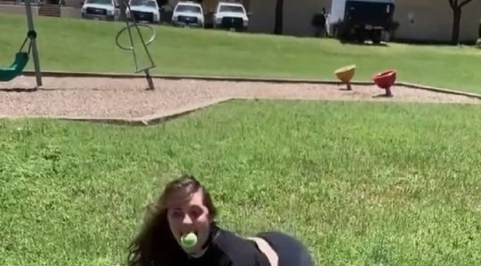 Ex-oculista de 21 anos ganha seis dígitos por mês fingindo ser um cachorro