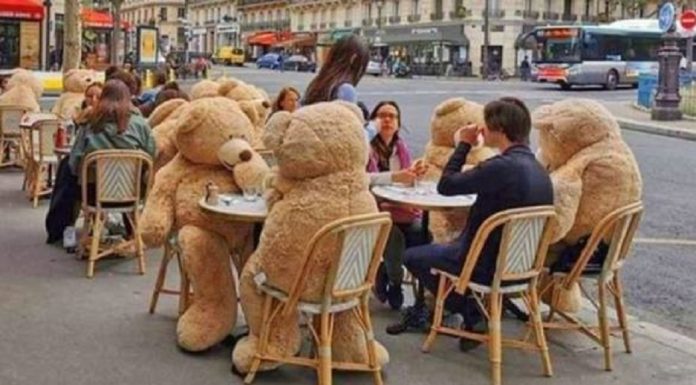Café em Paris está usando ursinhos gigantes para distanciar socialmente os clientes