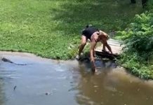 Momento mãe sobe no poço de jacaré com o filho para recuperar sua carteira