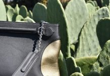Empresários mexicanos criam couro vegano com cactos
