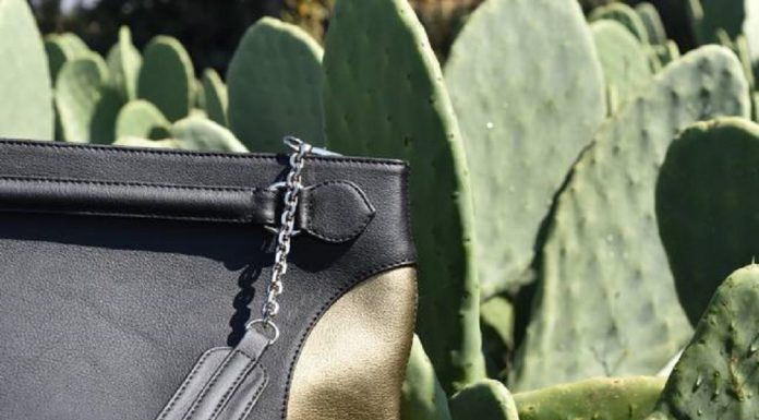 Empresários mexicanos criam couro vegano com cactos