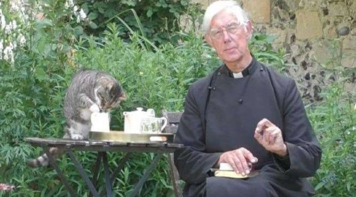 Gato é flagrado roubando leite do ministro durante transmissão on-line de oração