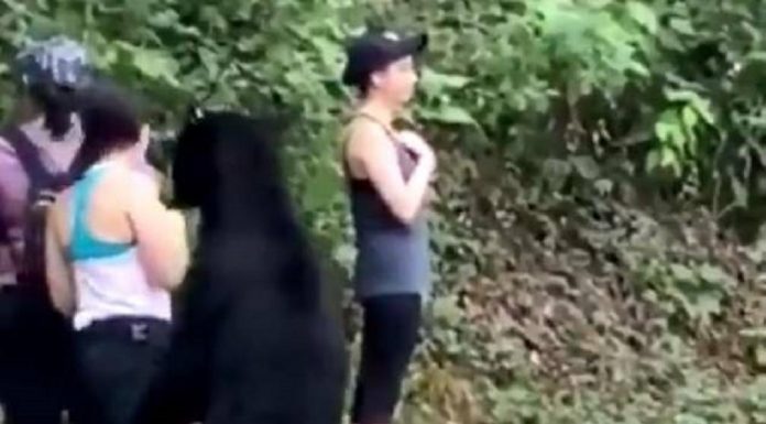 Mulher tira selfie durante encontro íntimo com um urso preto no México