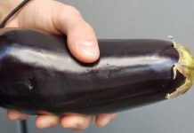 Estudo revela que tamanho de pênis realmente importa para levar uma mulher ao orgasmo