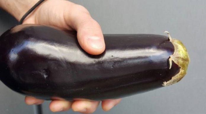 Estudo revela que tamanho de pênis realmente importa para levar uma mulher ao orgasmo