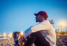 Lewis Hamilton diz que seu buldogue Roscoe agora é totalmente vegano