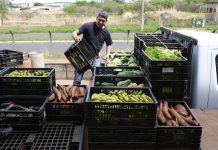 Confira essas 7 maneiras de apoiar os produtores locais apoiar os produtores locais