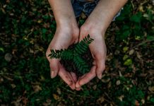 Descubra quais são os 4 primeiros passos de como montar uma empresa sustentável como montar uma empresa sustentável