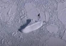 Usuários do Google Earth descobrem um 'navio de gelo' de 400 pés na Antártica