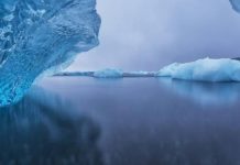 O gelo do mar Ártico pode desaparecer até 2035, dizem os cientistas