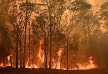 Floresta Amazônica sofre o pior começo de temporada de incêndios em 10 anos
