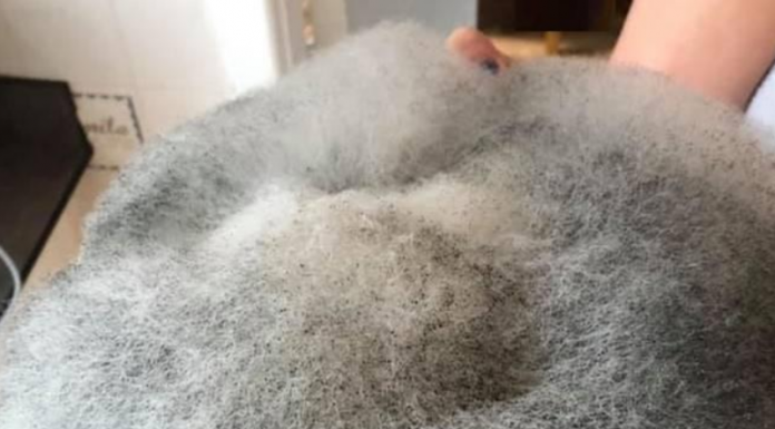 Mãe decide doar a filha depois de encontrar comida mofada no micro-ondas
