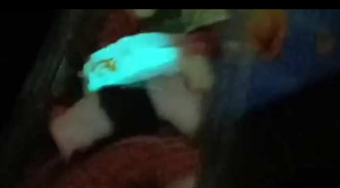 Imagens de um peixe brilhando em azul devido a bactérias perturbam amantes de sushi