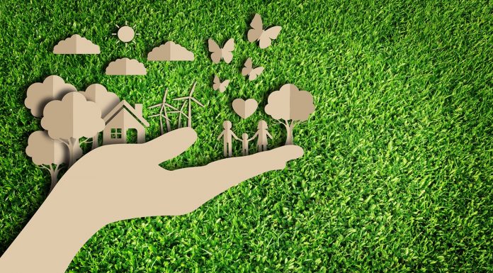 Saiba como ter ideias sustentáveis para o meio ambiente, conforme os especialistas ideias sustentáveis para o meio ambiente