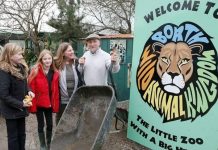 O 'pior zoológico' do Reino Unido a ser reaberto após concordar em desistir de grandes felinos após a morte de linces