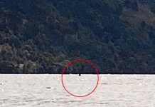 Turista faz o sétimo avistamento do Monstro de Loch Ness até agora em 2020