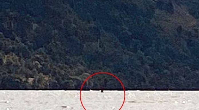 Turista faz o sétimo avistamento do Monstro de Loch Ness até agora em 2020
