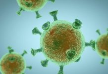 Coronavírus: os cientistas descobrem vulnerabilidade no vírus que pode "detê-lo em seu caminho"