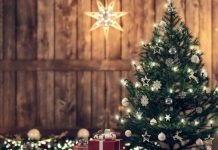 Árvores de natal pela metade são lançadas para pessoas que não se dão ao trabalho de decorar o fundo