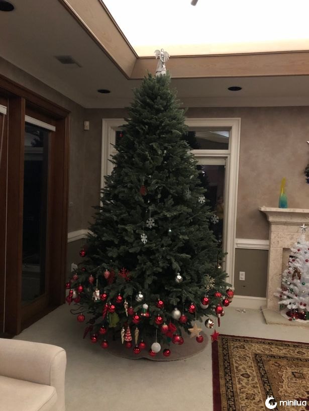 Uma foto de uma árvore de Natal decorada por uma criança, com todas as bugigangas penduradas nos galhos inferiores