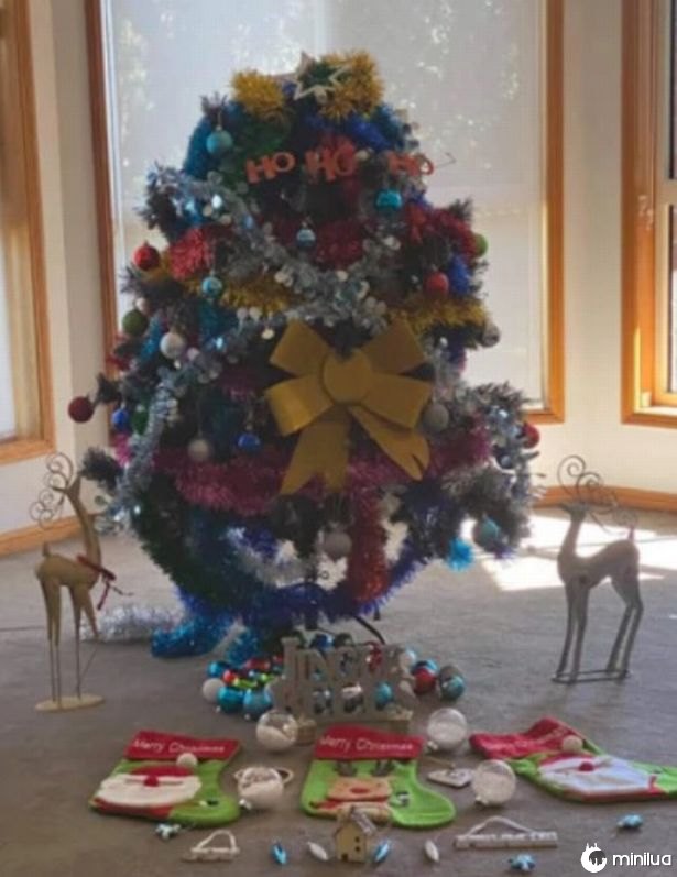 A árvore hilariante de Natal de uma mamãe a deixa 'questionando suas escolhas de vida'