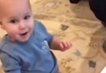 Filhote de cachorro adorável e talentoso foi dado de presente de aniversário para bebê que não parava de rir