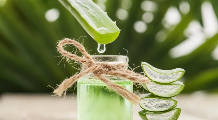 Confira 5 receitas caseiras a base de babosa para fazer hidratação no cabelo babosa para fazer hidratação no cabelo