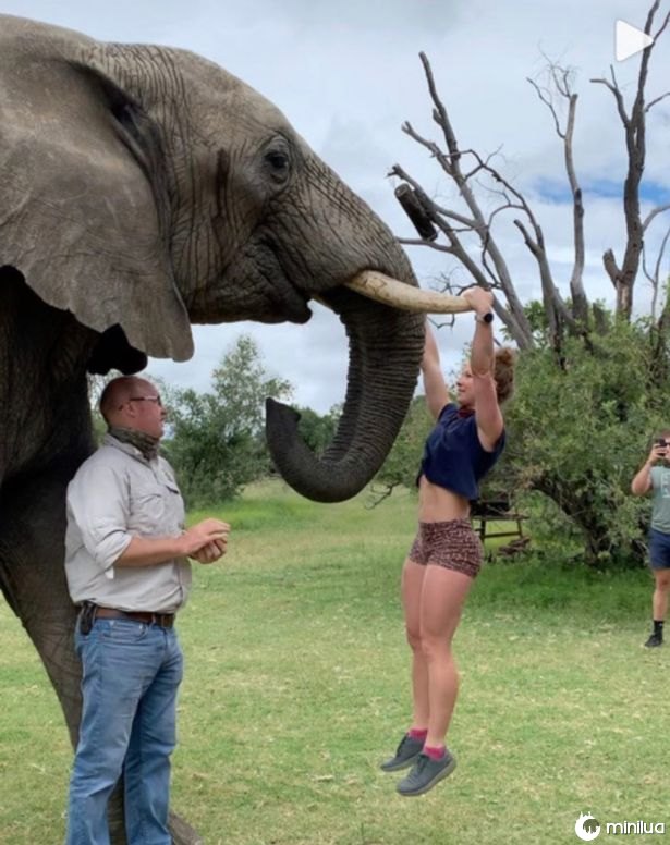 Dona de academia causa reação negativa ao ser fotografada fazendo flexões em presas de elefante