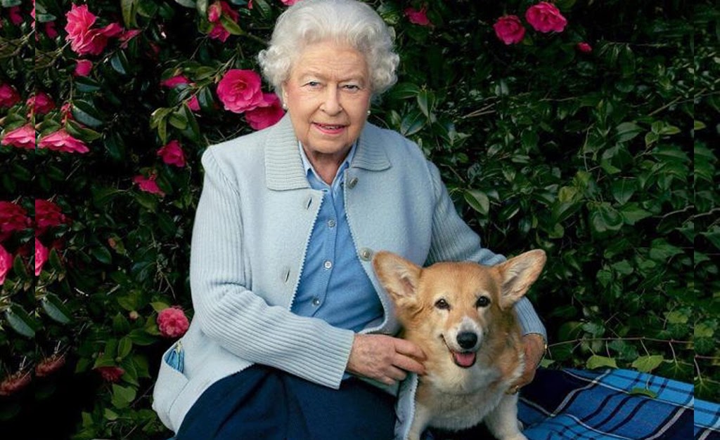 11 curiosidades esquisitas sobre a família real britânica